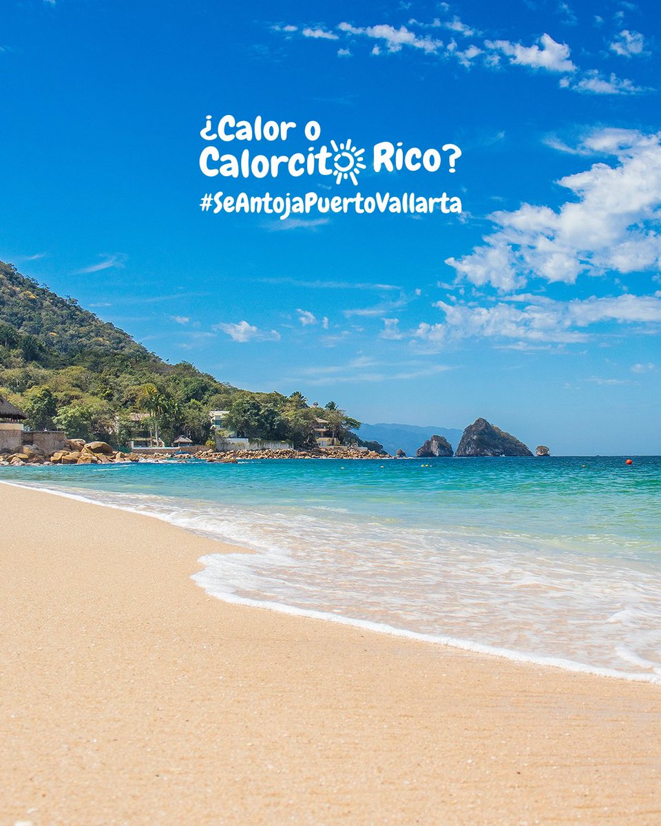 PuertoVallarta's tweet photo. Las encantadoras playas de Puerto Vallarta te ofrecen 360 días de sol al año; ¡puedes visitarlas en cualquier temporada!

¿Dónde prefieres pasar el verano? Como aquí predomina el calorcito rico, #SeAntojaPuertoVallarta

https://t.co/Pur8BV7I4e https://t.co/f5SBEatORF