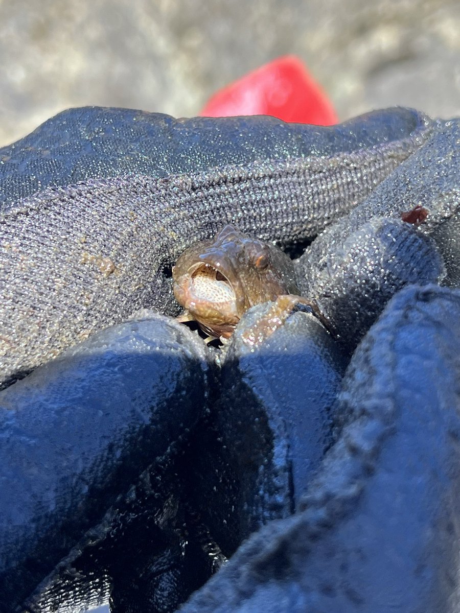 Daniel Geldof tweet media