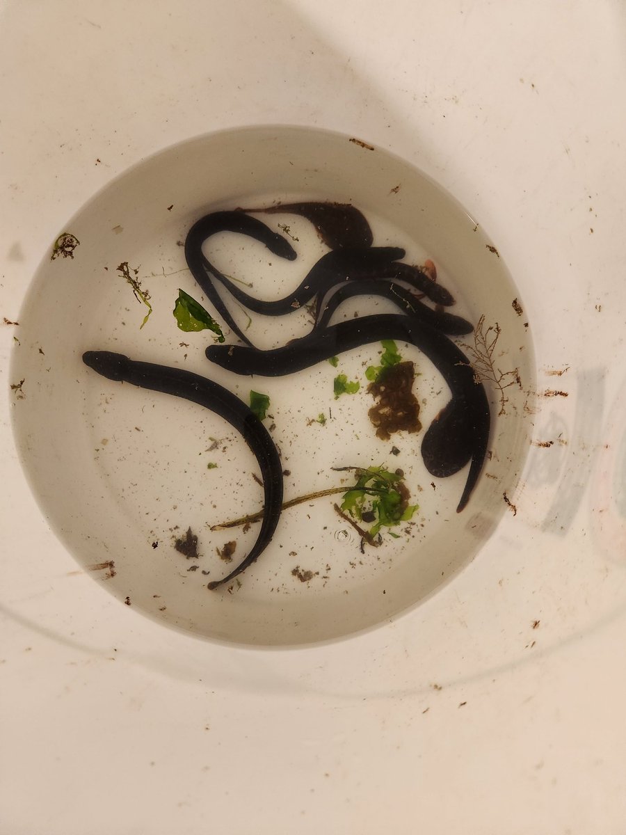 Daniel Geldof tweet media