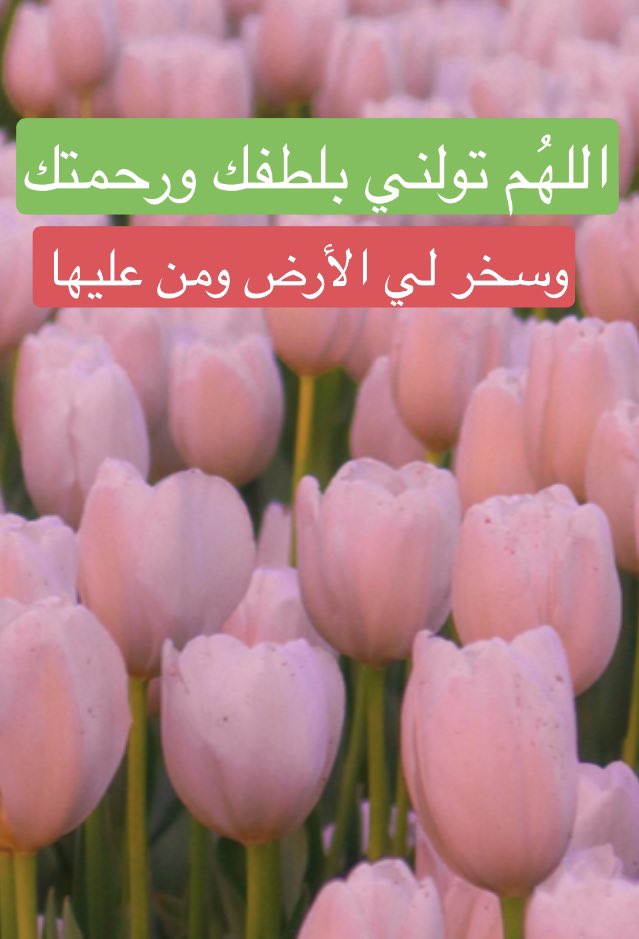 F97eF97e10's tweet photo. اللهُم تولني بلطفك ورحمتك، وسخر لي الأرض ومن عليها .

اللهُم تولني بلطفك ورحمتك، وسخر لي الأرض ومن عليها .

اللهُم تولني بلطفك ورحمتك، وسخر لي الأرض ومن عليها .

اللهُم تولني بلطفك ورحمتك، وسخر لي الأرض ومن عليها .

اللهُم تولني بلطفك ورحمتك، وسخر لي الأرض ومن عليها . https://t.co/dNoUyYGRfZ
