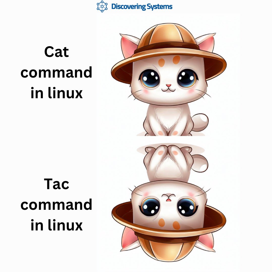 Discoveringsys's tweet image. You might have you used cat command in Linux , but have you tried using the Tac command ? 

For more articles on the same lines visit discoveringsystems.com or @Discoveringsys 

#linux #catcommand #linuxcommand #linuxfan #linuxadmin #networkadmin #systemadmin #bashscripting