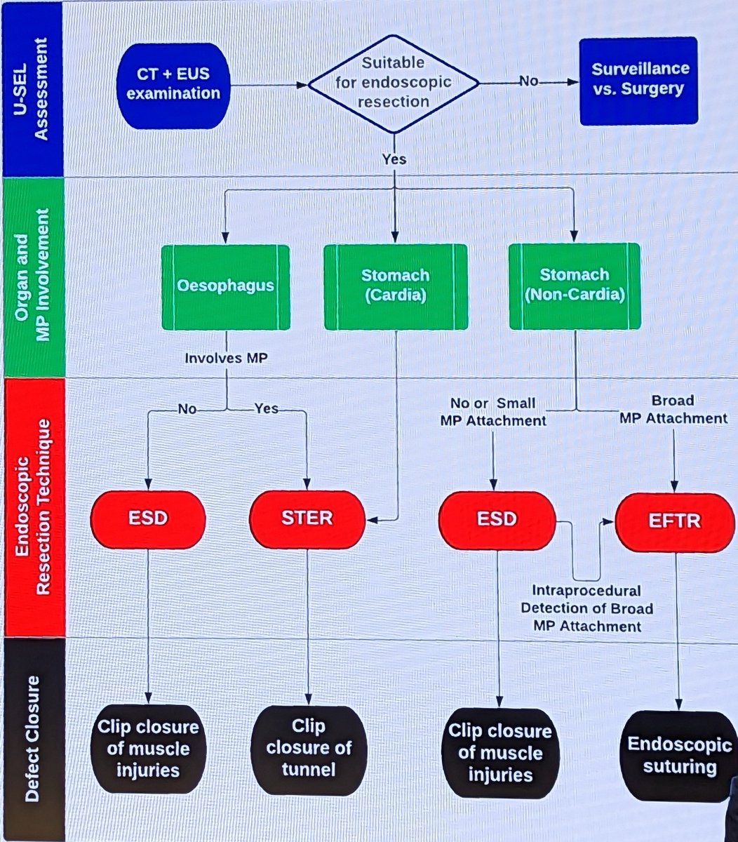 Brisbane Endoscopy tweet media