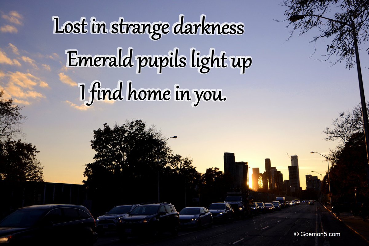 Lost in strange darkness
Emerald pupils light up
I find home in you.

#haikuchallenge #haiku #poetry #poem #Romance #romanticpoetry #lovepoem #sunset #sunsetphotography #toronto #sunsetcity #city #night #nightpoetry #sunday #sundaypoetry #sleepover