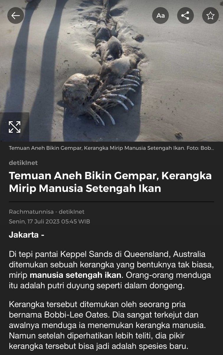 erikasyari's tweet photo. Di sini ada yg percaya ga sii mermaid itu ada? Klo aku percaya sih krn emng Laut di dunia itu baru 5% yg dijelajah dan 95% nya who knows https://t.co/fRdsJVlakJ