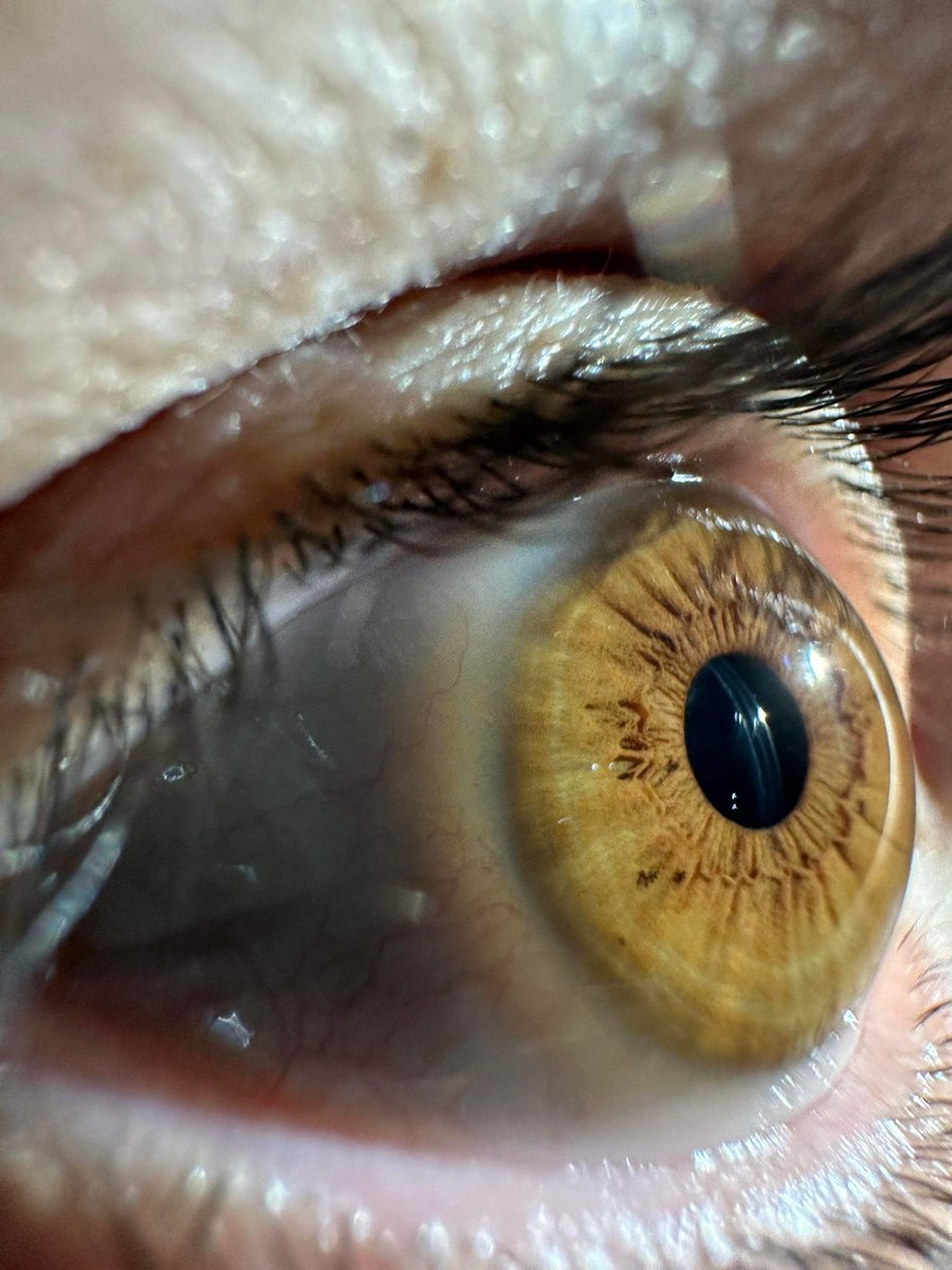 Daniel McCagh tweet media