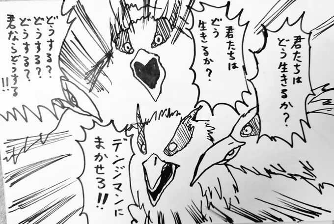 鳥らくがき('ー`)