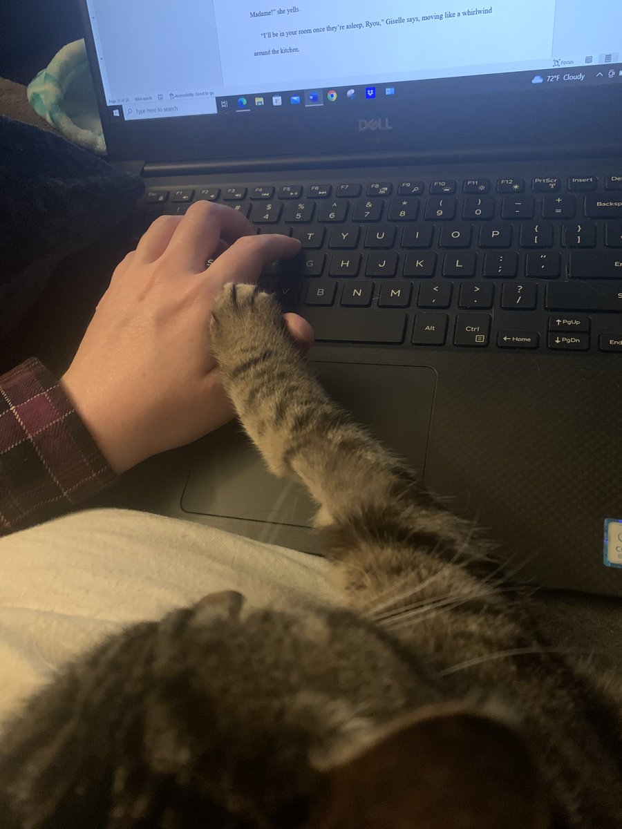 ShelbyEBooks's tweet photo. Graypaw is helping me write!
#writingwithcats #CatsOfTwitter https://t.co/k84cEExHCK