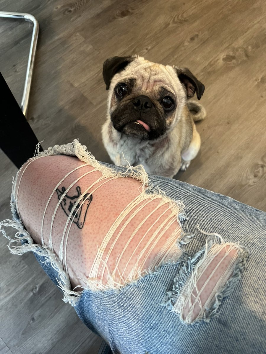 thepinupchemist's tweet photo. New family member just dropped https://t.co/qdpoumWlNS