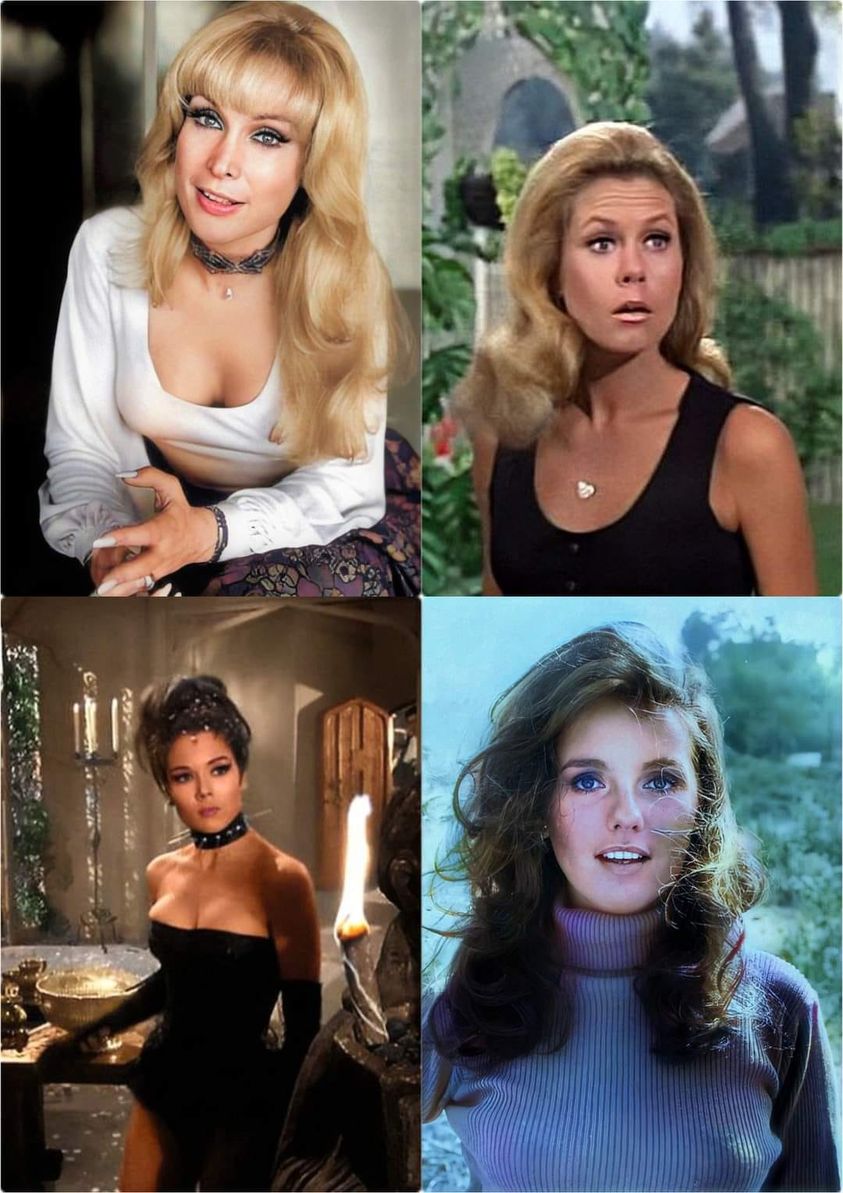 RT @jwhaifa: Barbara Eden, Elizabeth Montgomery, Diana Rigg and Dawn Wells https://t.co/A85H0LG7Sz