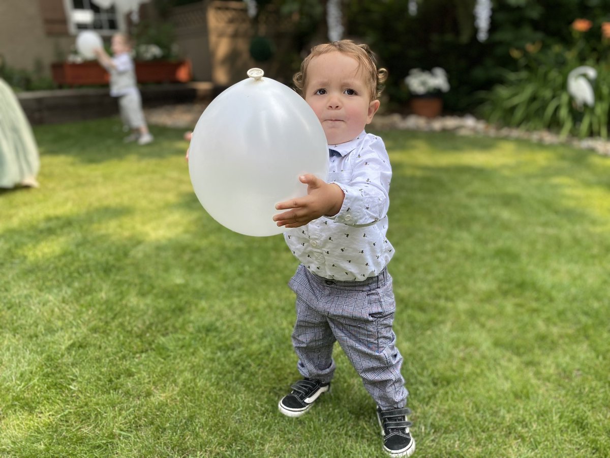 Alex Freeman tweet media