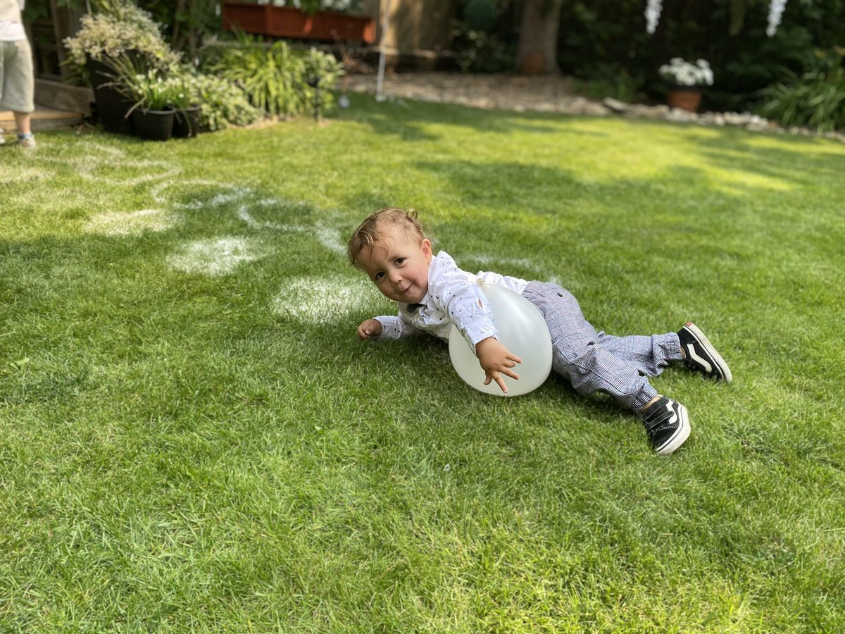 Alex Freeman tweet media