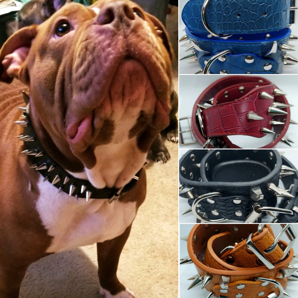 smallpawsatl's tweet photo. Get your bully and large breeds a collar that not only looks good but provides protection for your fur baby🐾🐕🐩🐕‍🦺🦮
Shop with me today!!!
https://t.co/k65yRLwl1f
#dogsoftwitter #dogs #Pitbull #doglovers #dogfashion https://t.co/oxN5VvAIZv