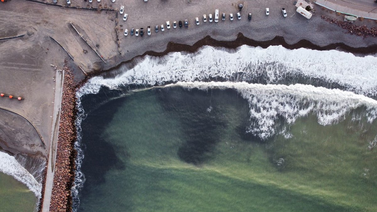 Dos días de dragado y arrojando los sedimentos a la costa.
Es ECOCIDIO 😔