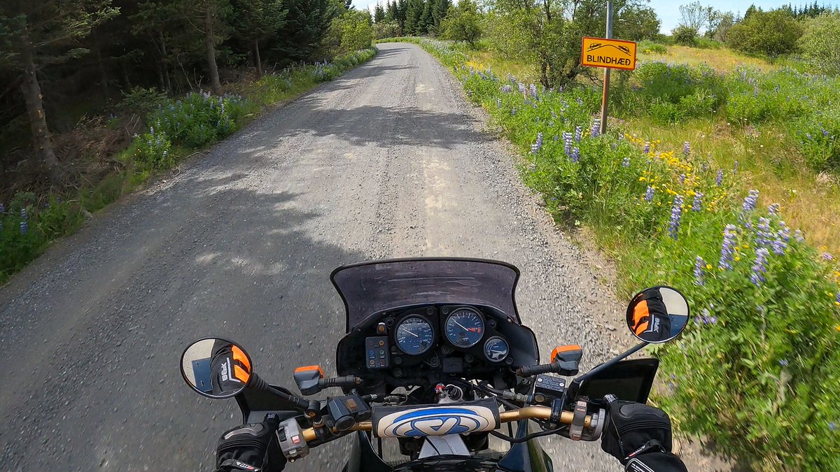 Raggi_B's tweet photo. Góð helgi.
#africatwin #rd03 https://t.co/V9GM9wWN32