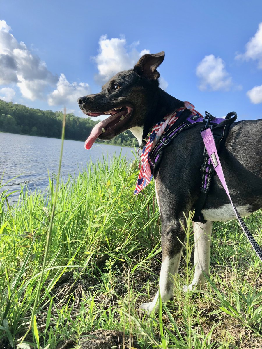 Logan Kirkland tweet media