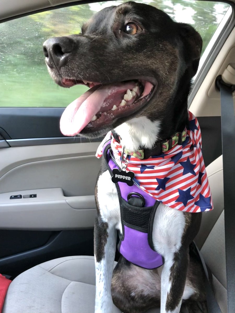 Went on a little adventure this weekend with the little lady! Shout out to @Insurgent_Prof for the fishing tweet that inspired us to go!