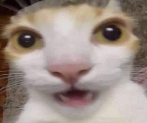 Gabrielyessir tweet media