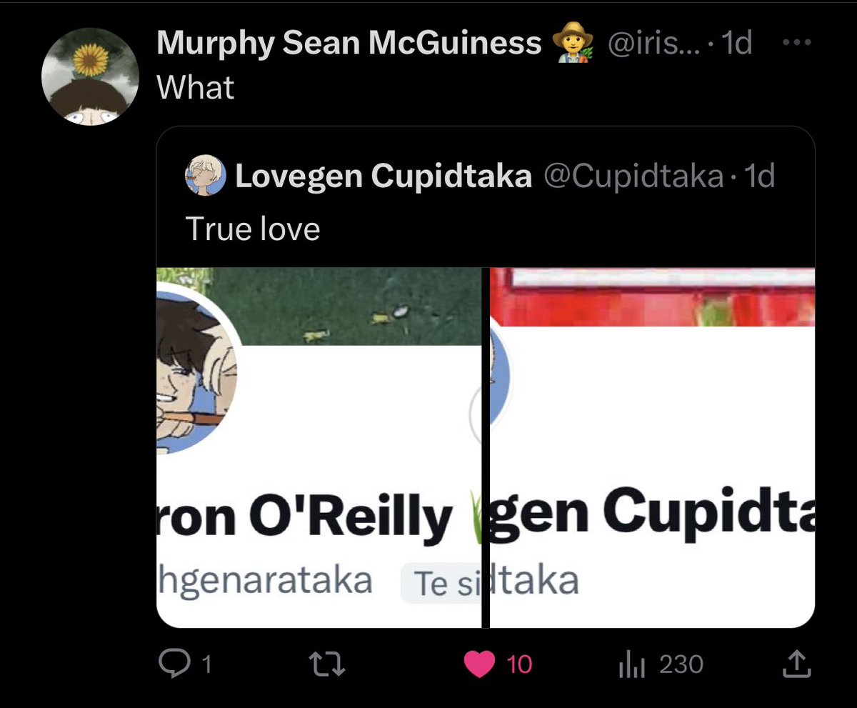 Mp100 rp archive (@mp100rp) on Twitter photo 