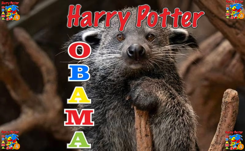 Buckyoto's tweet photo. Bitcoin for critters

#HarryPotterObamaSonic10Inu @hpos10iETH #catbear #critter #wildlife #cute #bitcoinformilfs https://t.co/FlvKL334Ip