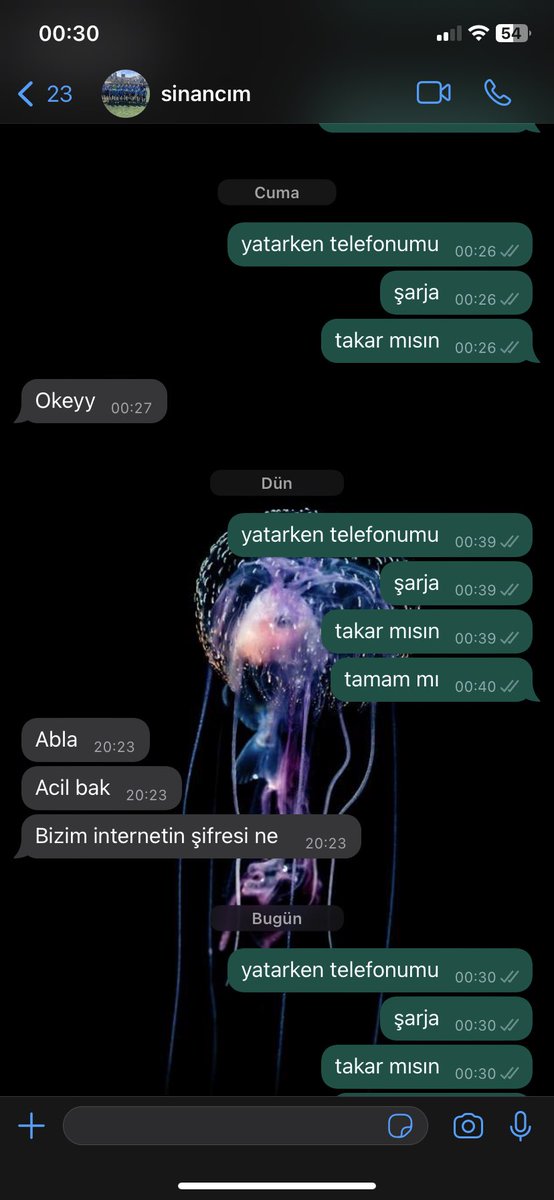 erkek kardeşle yapılan max sohbet