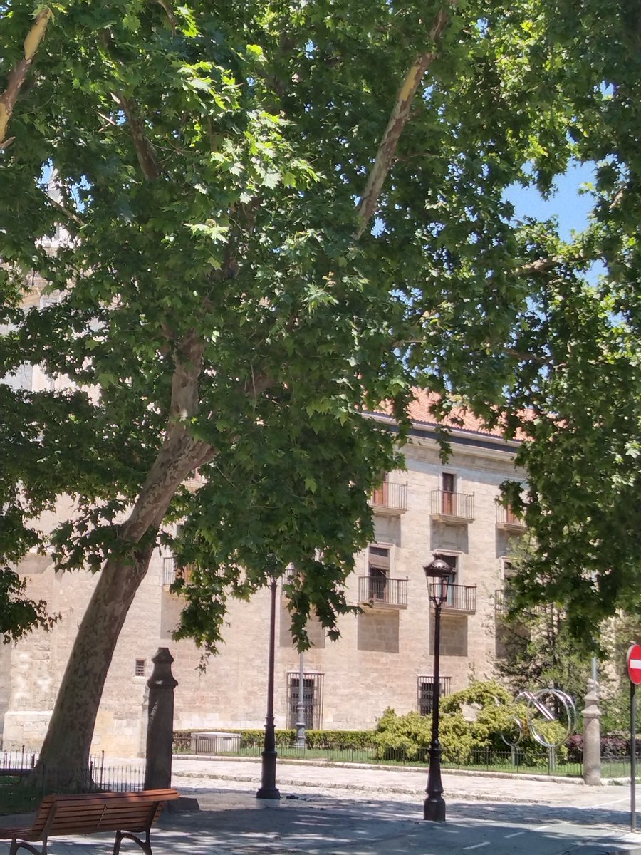 prezptra's tweet photo. @infoVLL Plaza de Santa Cruz y alrededores https://t.co/tEBr7V6txU