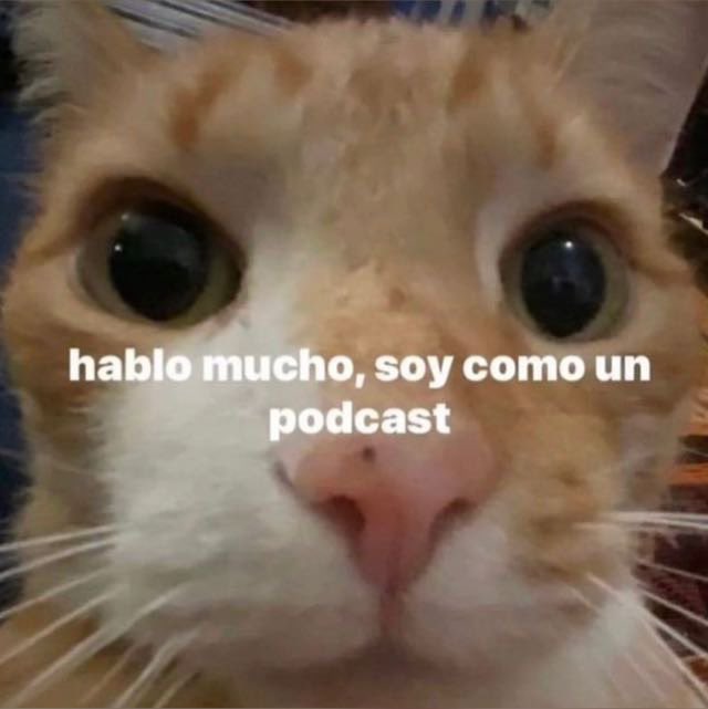 valeriafrancot's tweet photo. Yo últimamente cuando salgo con mis amigues https://t.co/tgcJwSSvLc