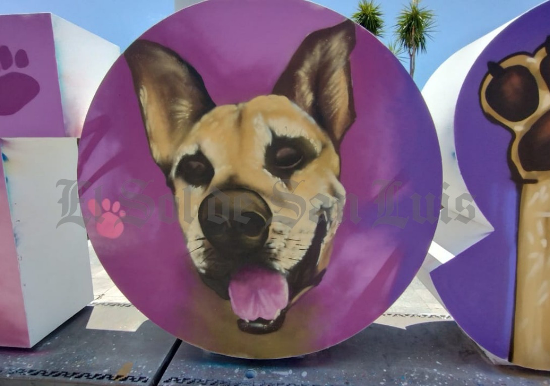 ElSoldeSanLuis's tweet photo. #DíaDelPerro I  🐶 ¡El letrero de San Luis Potosí se puso muy #perruno!
Hoy se celebramos el día del perro, por todo lo bonito que representan nuestros peludos de 4 patas 🥰 🥰  🐕 🐩 https://t.co/fLJzQAAqjk