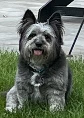 HEY,     WHAT’S YOUR NAME ???