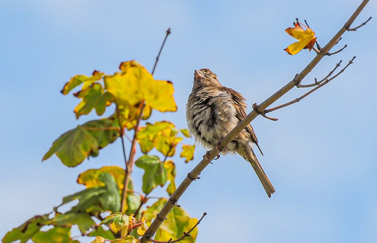 Eyla Castro (@eylacastro) on Twitter photo 