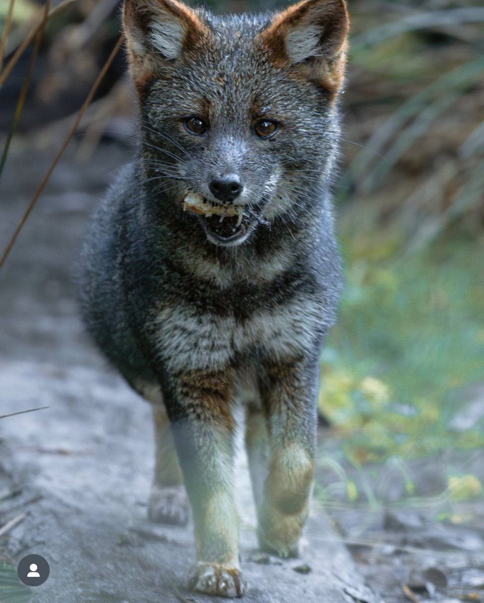 ❗️Defendamos Patagonia❗️ tweet media