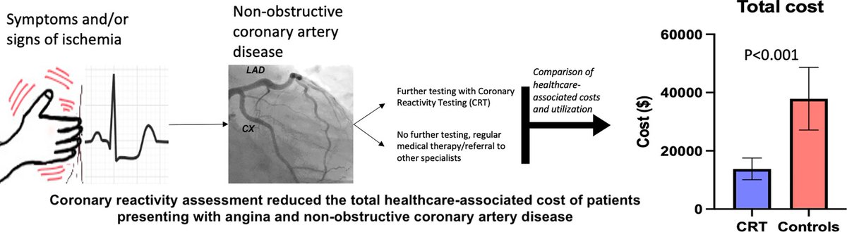 2 new 🔥 off the press papers 1️⃣ How to perform coronary endo and micro fx assessment in cath lab @MuhammadAjmalMD @DrArgyle 👇 link.springer.com/article/10.100… 2️⃣ Assessment of coronary micro & endo function ⬇️ downstream healthcare cost by ~25k/pt in 2 yrs! pubmed.ncbi.nlm.nih.gov/37417227/