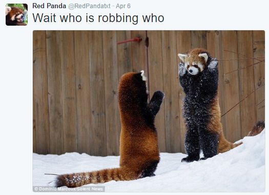 [🔗](api.tinyfox.dev/hourly/wahs/ph…)