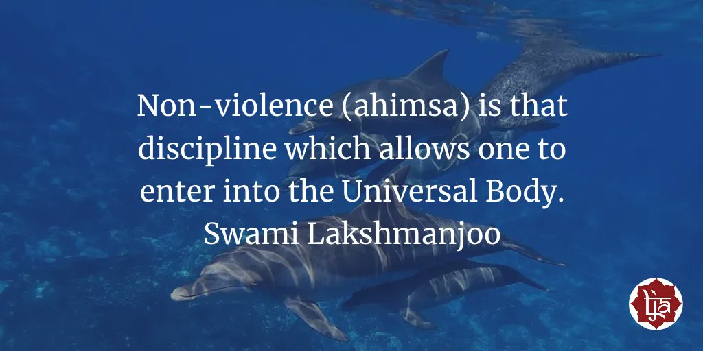 LakshmanjooAcad's tweet photo. Why ahimsa (non-violence) is so important on the spiritual path https://t.co/7bnLs7lDRx
#kashmirshaivism #lakshmanjoo #ahimsa #yoga #vegan #peace #love #mindfulness #meditation #compassion #yamas #nonviolence #niyamas #yogastudy https://t.co/PFqABC6UAF