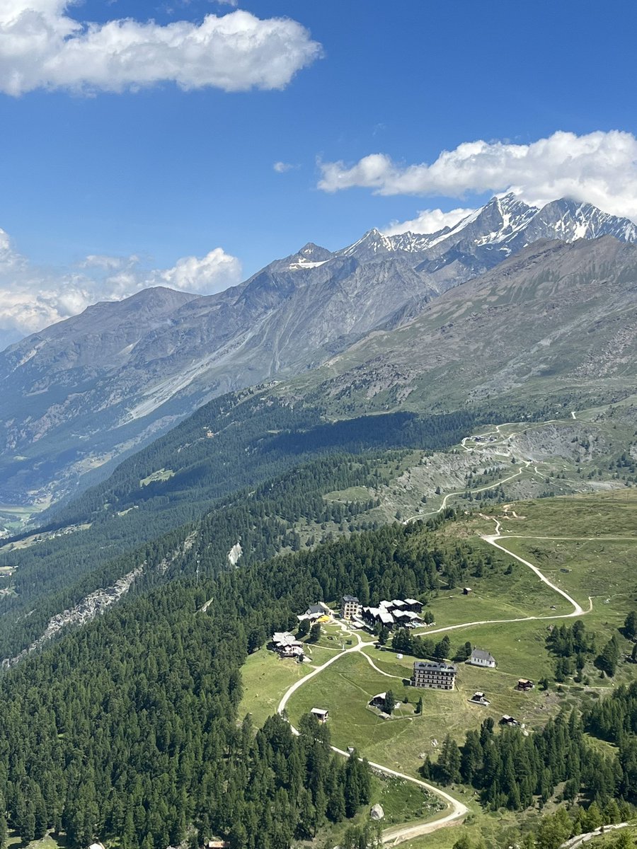 Leanne Winsor tweet media