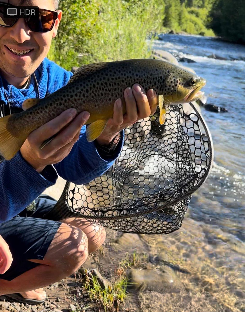 DSKnyc1's tweet photo. Awesome weekend here at the Sohum Mountain Ranch w friends catching and releasing some trophy trouts and the kiddos creating some fun memories! #flyfishing #trophytrouts #outdoors #familytime #dreamvacations caught the 19” brown today and lost of 15-16” rainbows! #sundayvibes https://t.co/IE2rfRSDqZ