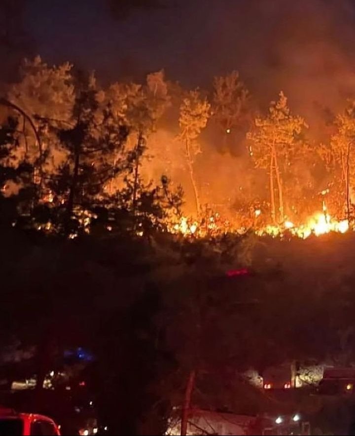 Giden her can için içimiz yanıyor 😢

#Hatay 
#Mersin
#Çanakkale 
#ormanyangınları #yangın
