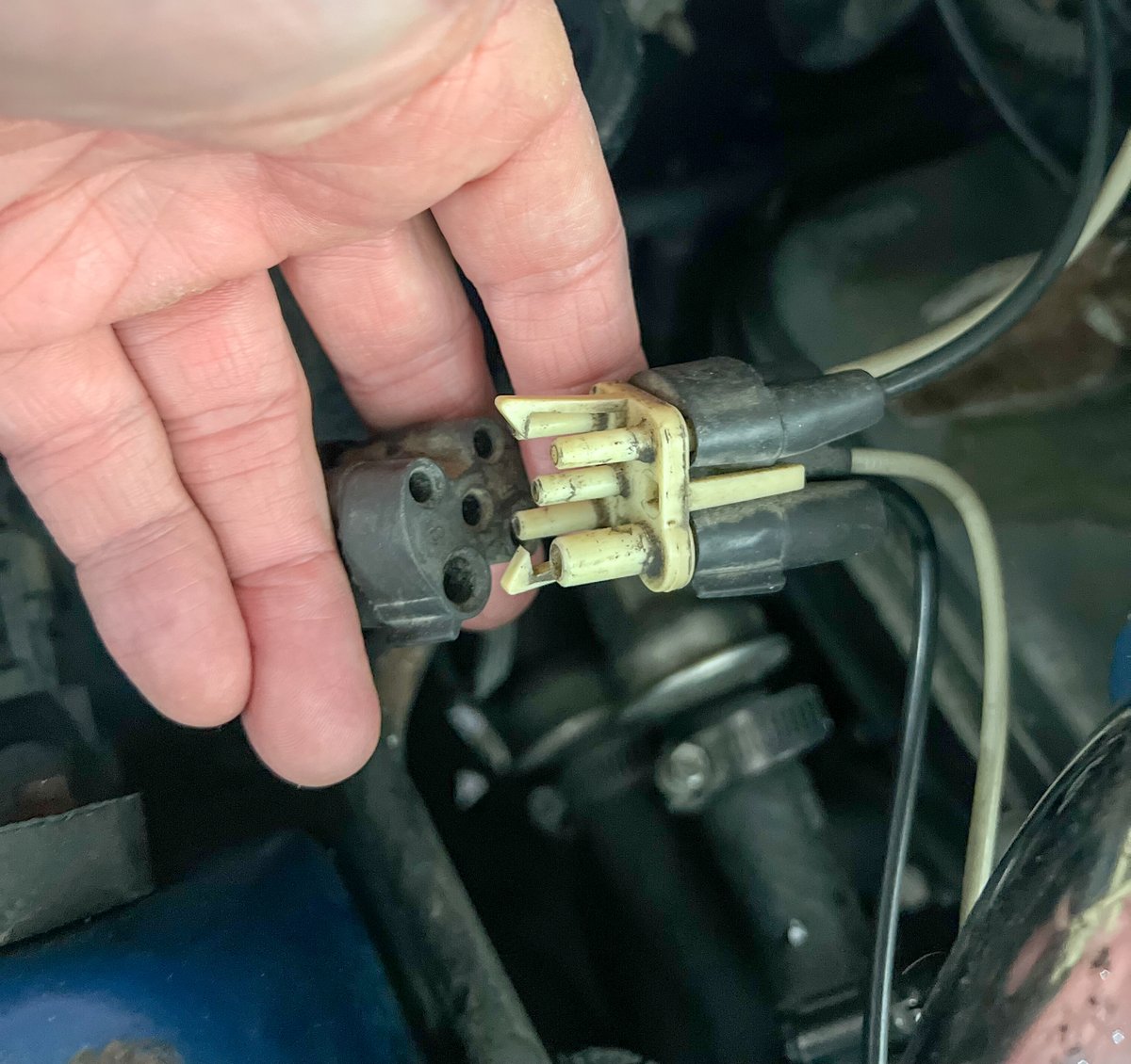 DonnieOK's tweet photo. And it continues #projectfox seeking better fuel economy and better idle. EGR valve cleaning and IAC valve cleaning. Replacement in the future. 3 months ago I didn't even know what this stuff was. #nevertoooldtolearn #foxbodymustang 1990 and getting better. https://t.co/e8D590w19i