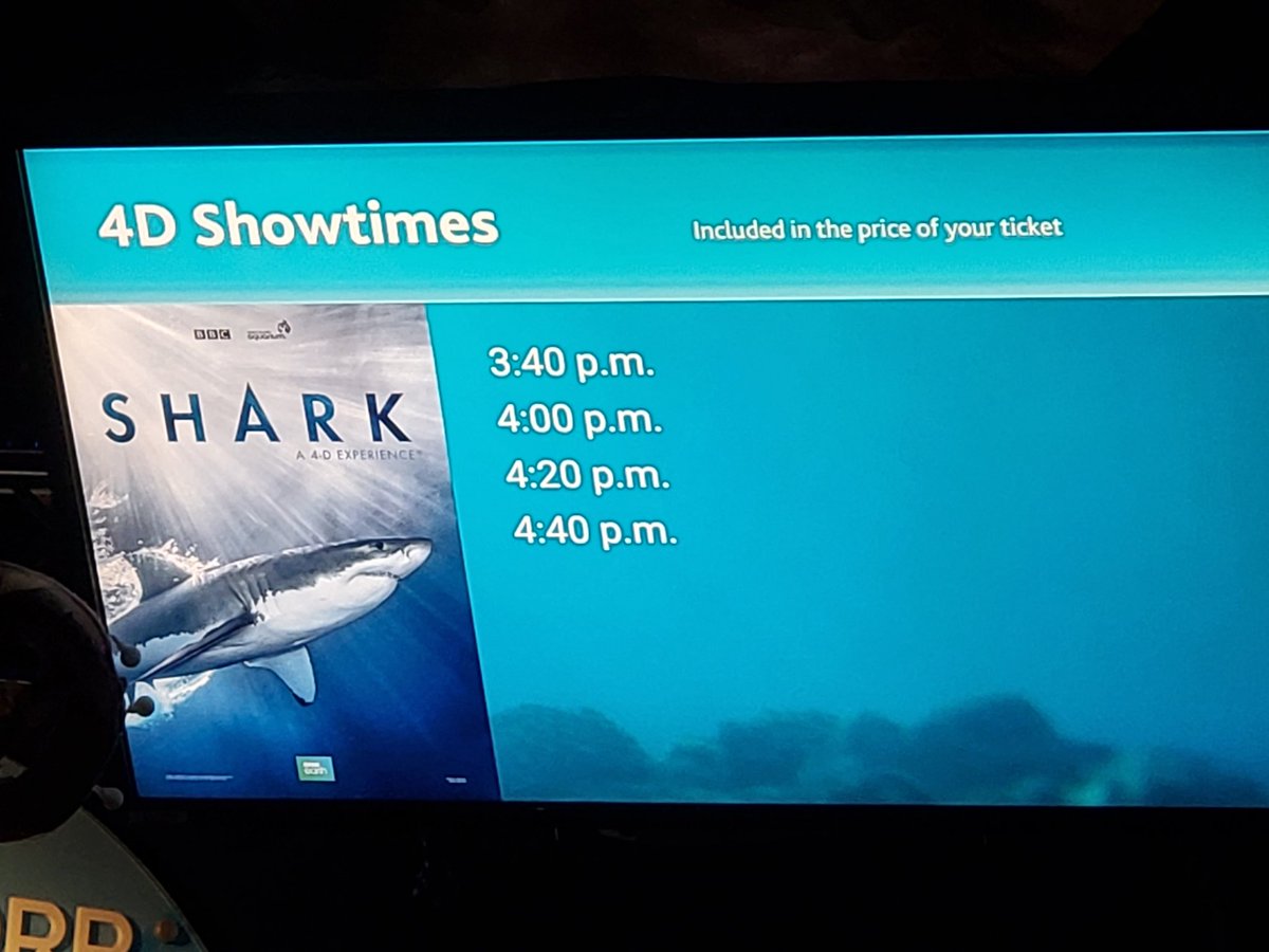 FloofyMid's tweet photo. Ehehehehe, shark go brrrrrr https://t.co/mbG3ezsnBd