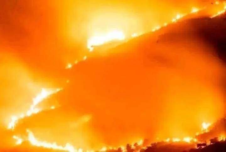 vivalalgerie7's tweet photo. #حريق 🔥🔥 

الله اكبر .. حريق كبير يلتهم غابات الصحاريج بولاية #البويرة , نسأل الله العفو والعافية😢 https://t.co/qOEBaxo5Dl