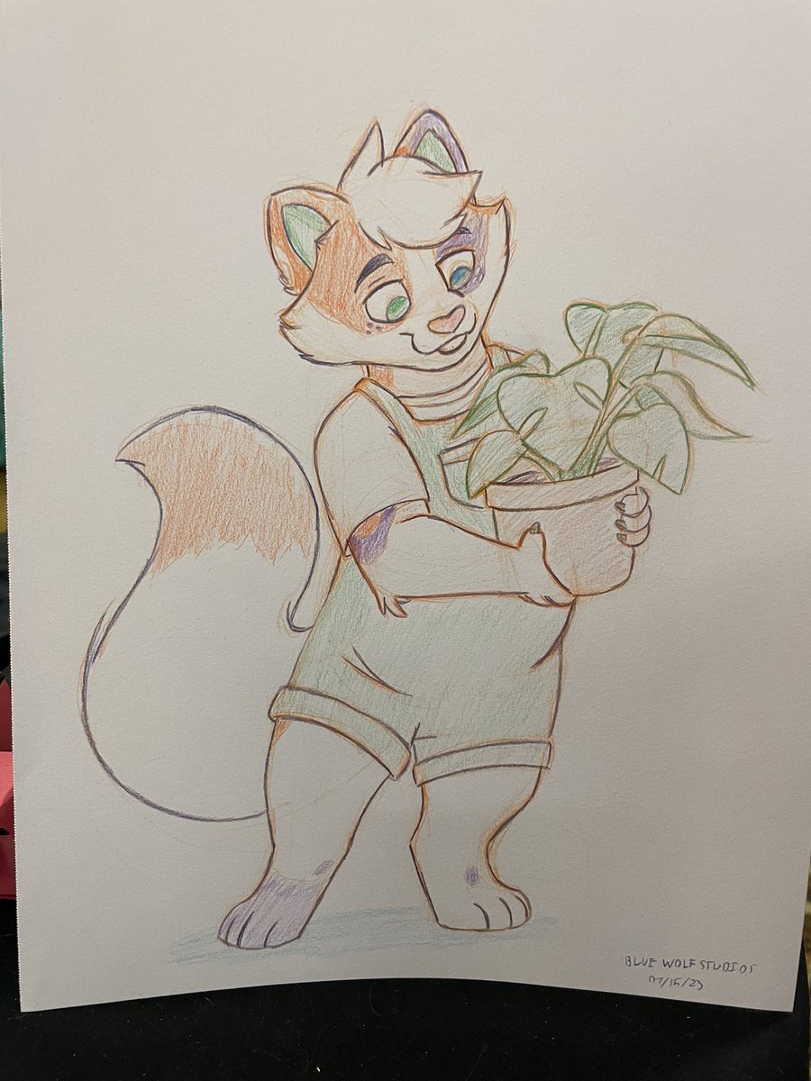 Blue Wolf Studios@AWU tweet media