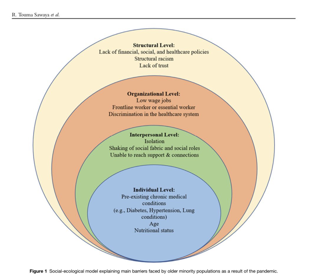 Immensely proud to announce the publication of our article "The Impact of COVID-19 on older minority adults in the United States: challenges and potential solutions"

This research delves into the devastating effects of the pandemic on this vulnerable population.