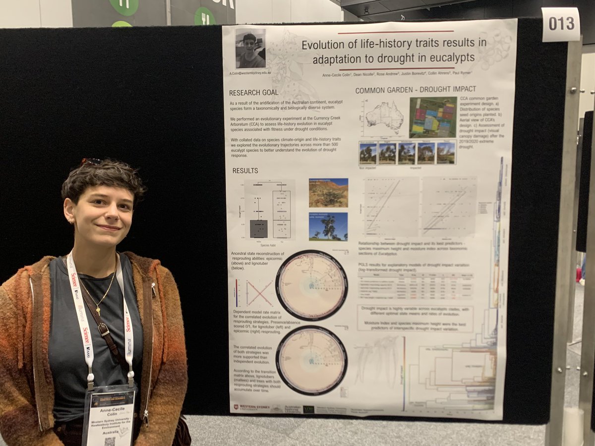Come and check <a href="/AnneCecileCln/">Anne-Cécile Colin</a> great poster on the evolution of drought adaptation in #eucalpts #icg2023 poster session today and Thursday