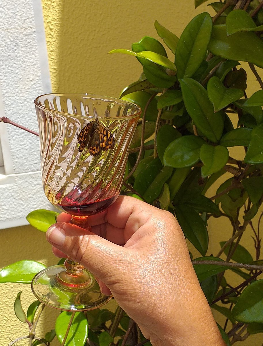 🍷🍷SAÚDE/CHEERS 😃😃👍