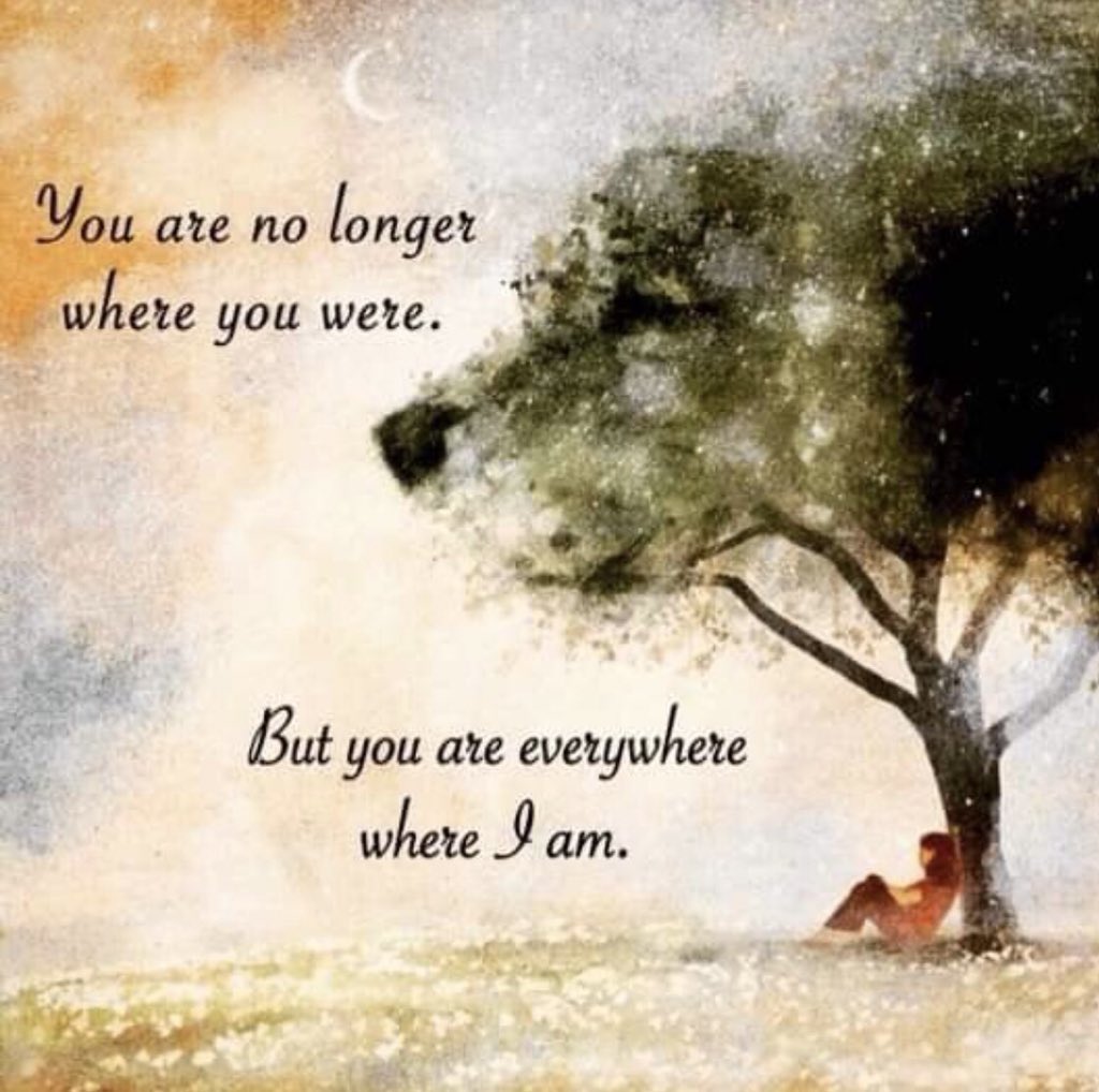 ElfinIrish's tweet photo. @Dalbodog So sorry 😢💔 https://t.co/IjEwxAeFyk