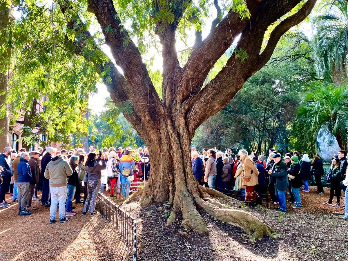 CH_protege's tweet photo. Abrazo al Jardín Botánico de la Ciudad de Buenos Aires…sin secretos..en su esencia misma…😌😌😌 ⁦@bastademutilar⁩ ⁦@BastadeDemoler⁩ ⁦@paisajeante⁩ ⁦@natzkerba⁩ ⁦@mlmagadan⁩ https://t.co/rjynqeigc6