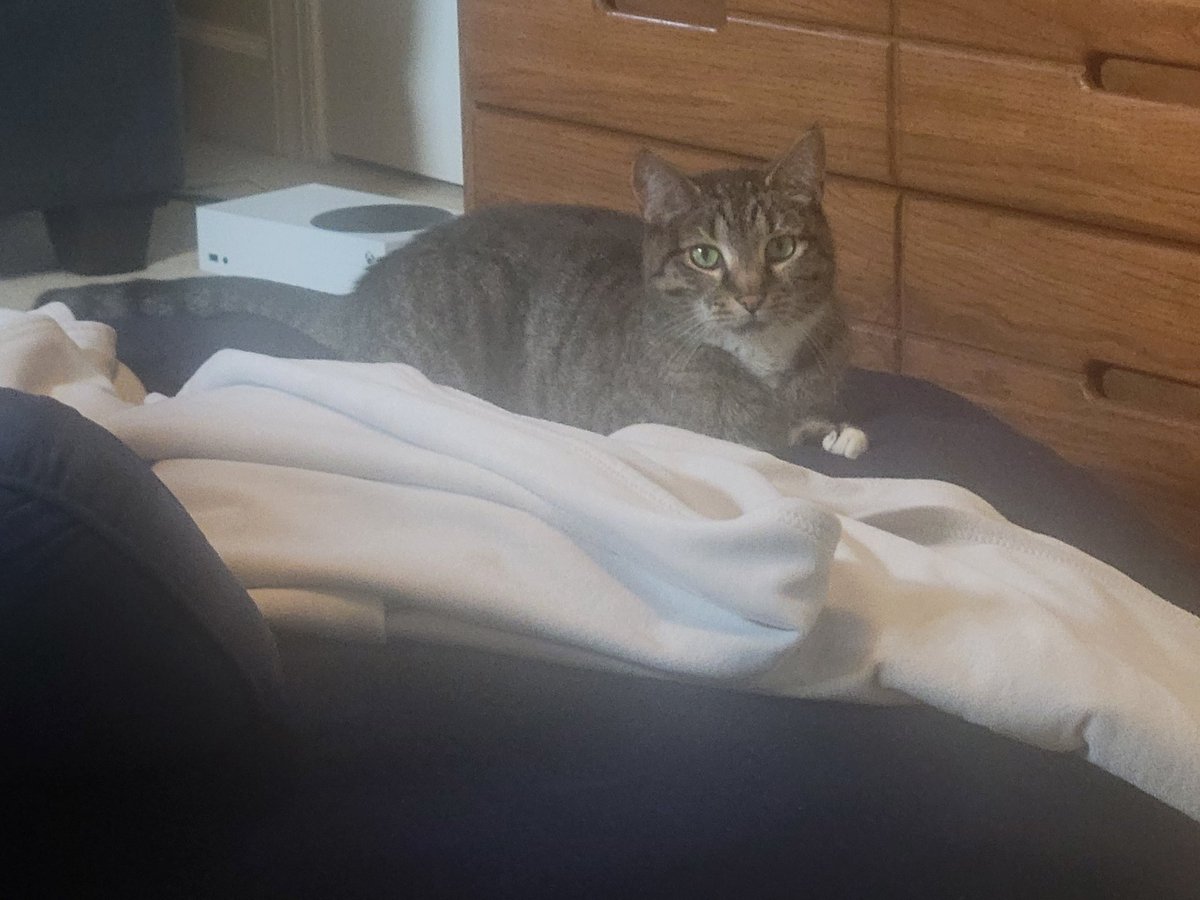 TaskForceScylla's tweet image. 