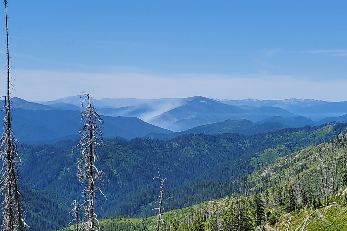MontanaHolliday's tweet photo. Little Bear Fire out of the Powell, ID area as seen from the Lolo Moterway aka 500 Road this morning (7/16/23) #littlebearfire https://t.co/kQCXavlw3E