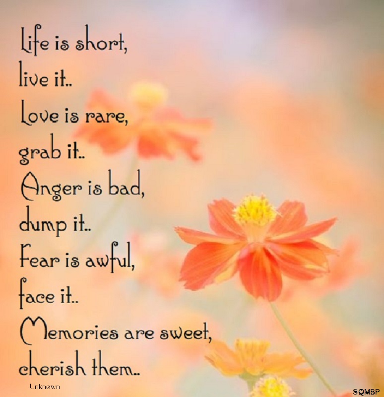 Life is short, live it. Love is rare, grab it. Anger is bad, dump it. Fear is awful, face it. Memories are sweet, cherish them. - Unknown Author ~  #Life #Inspiration