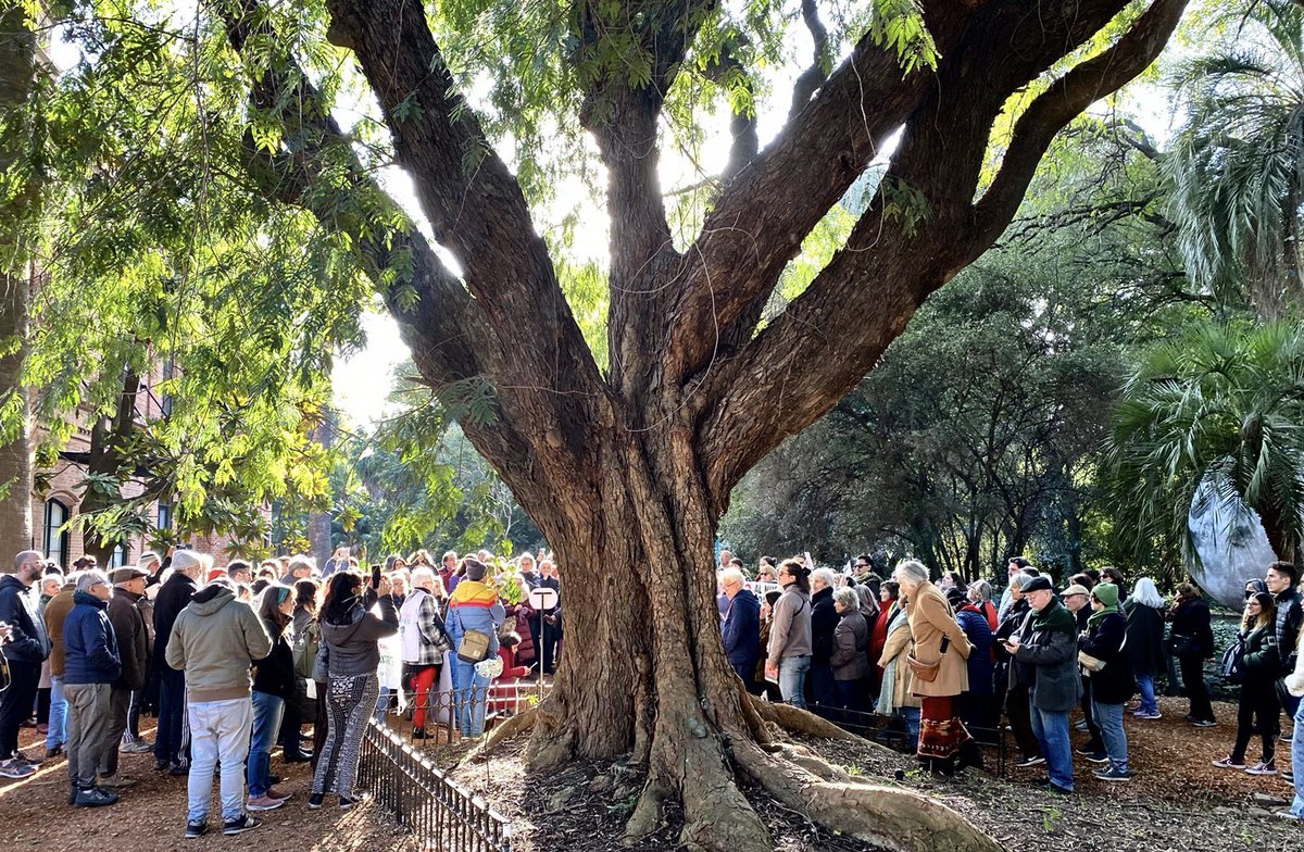 paisajeante's tweet photo. Hoy fuimos un montonazo de personas en el abrazo en defensa del Jardín Botánico.
Impresionante encuentro en donde nos vimos las caras, compartimos sensaciones y opiniones sobre el desastre que está haciendo el GCBA en este lugar.
Gracias a toda la gente que pudo estar. presente. https://t.co/uDDNAVw7bb