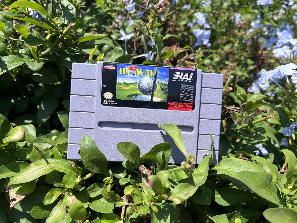 LoveRetroBTW's tweet photo. Do you have a favorite Golf Video Game? https://t.co/BT87bf7BLf